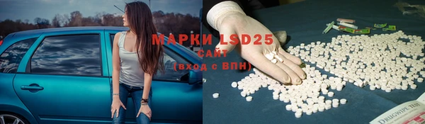 PSILOCYBIN Абаза