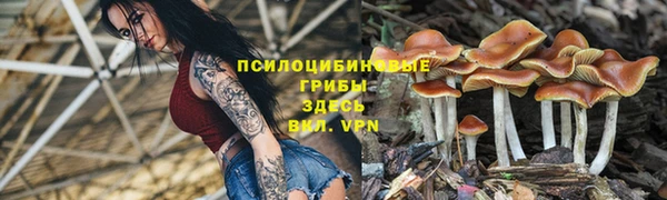гашишное масло Алексеевка