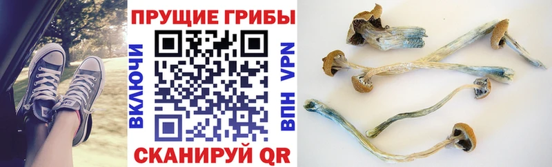 где продают наркотики  Дыгулыбгей  Галлюциногенные грибы MAGIC MUSHROOMS 